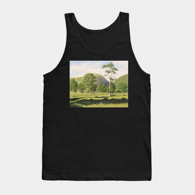 Glen Feshie Tank Top by richardpaul